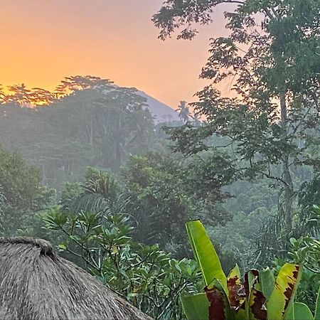 Shamballa Moon Ubud Dış mekan fotoğraf