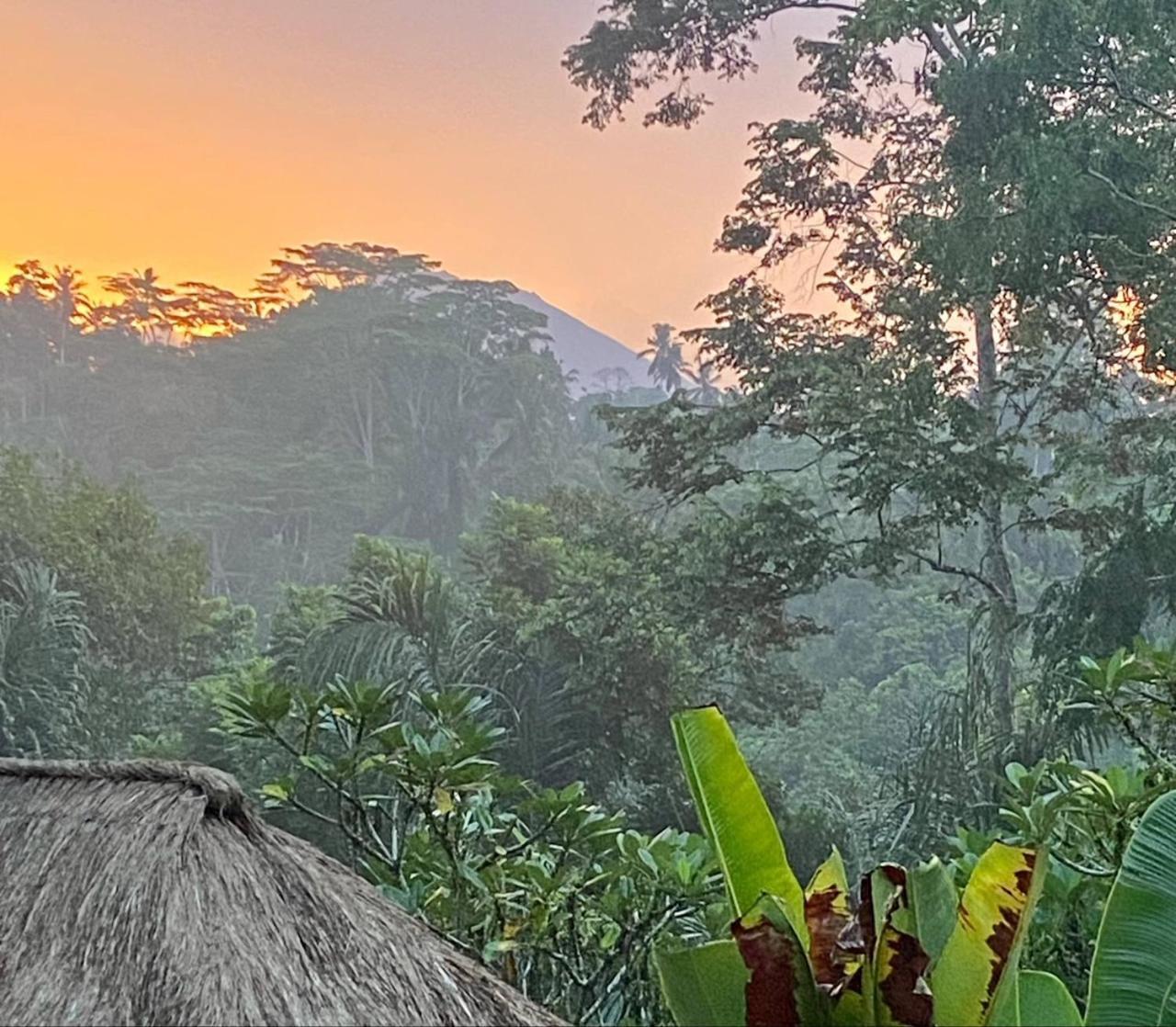 Shamballa Moon Ubud Dış mekan fotoğraf