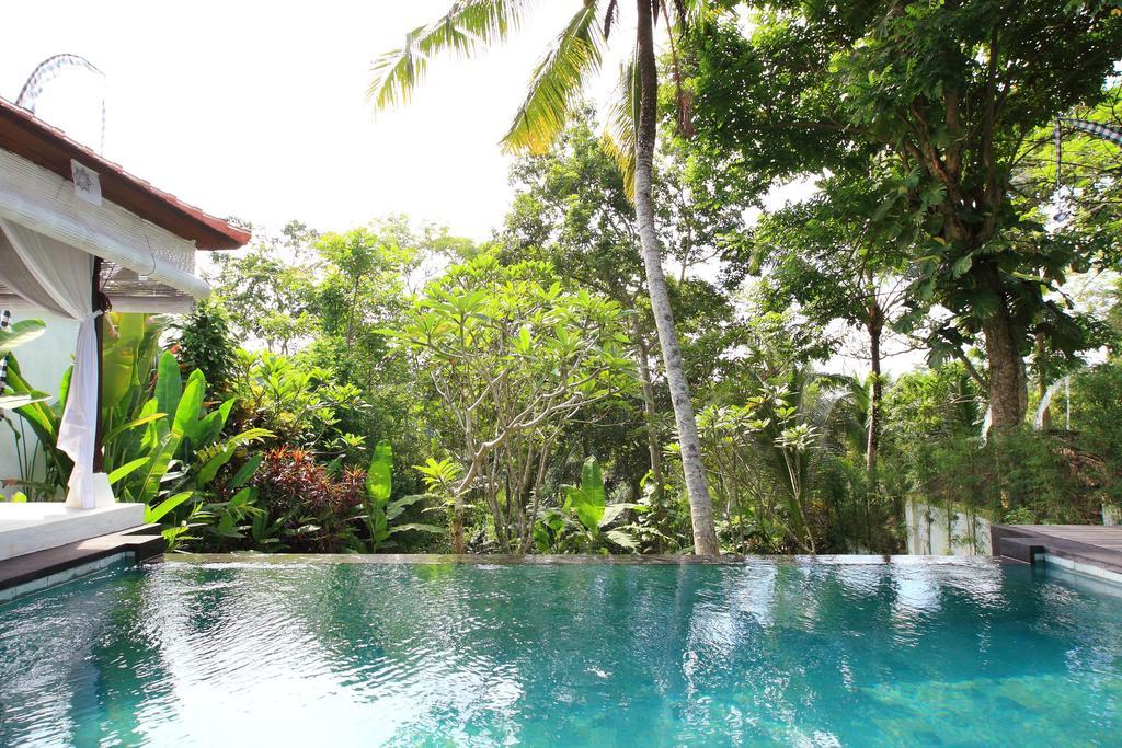 Shamballa Moon Ubud Oda fotoğraf